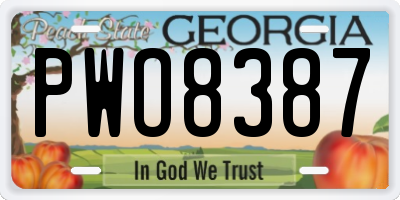 GA license plate PWO8387