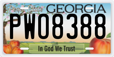 GA license plate PWO8388