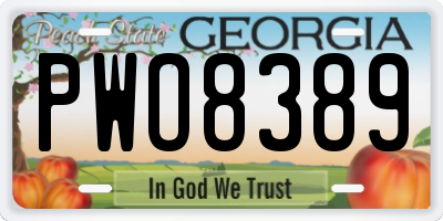 GA license plate PWO8389