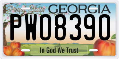 GA license plate PWO8390