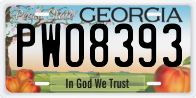 GA license plate PWO8393