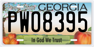GA license plate PWO8395
