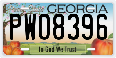 GA license plate PWO8396