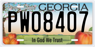 GA license plate PWO8407