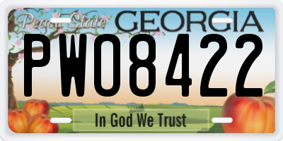 GA license plate PWO8422