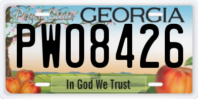 GA license plate PWO8426
