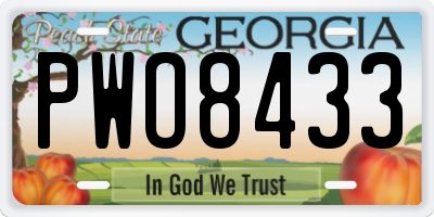 GA license plate PWO8433
