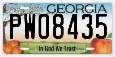 GA license plate PWO8435