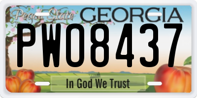 GA license plate PWO8437