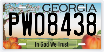 GA license plate PWO8438