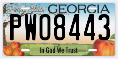 GA license plate PWO8443