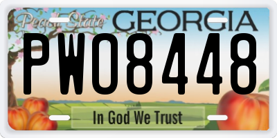 GA license plate PWO8448