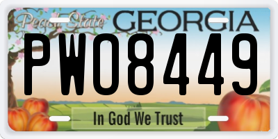 GA license plate PWO8449