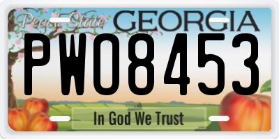 GA license plate PWO8453