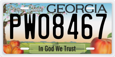 GA license plate PWO8467