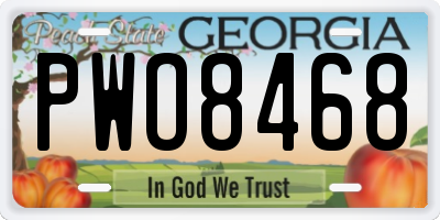 GA license plate PWO8468