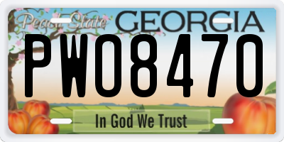 GA license plate PWO8470
