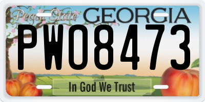GA license plate PWO8473