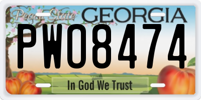 GA license plate PWO8474