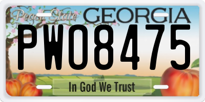 GA license plate PWO8475