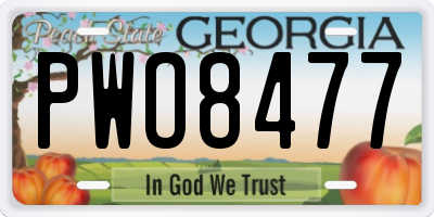 GA license plate PWO8477