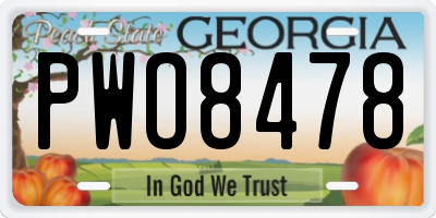 GA license plate PWO8478