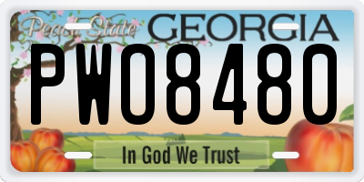 GA license plate PWO8480