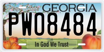 GA license plate PWO8484