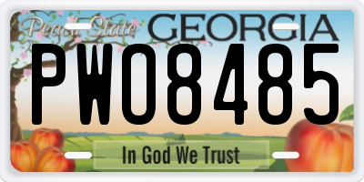 GA license plate PWO8485