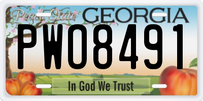 GA license plate PWO8491