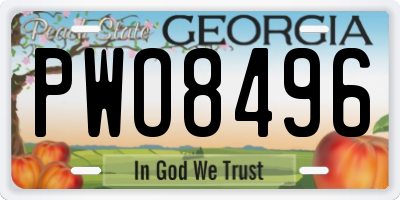 GA license plate PWO8496