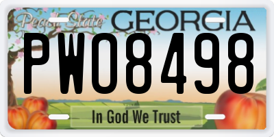 GA license plate PWO8498