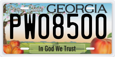 GA license plate PWO8500