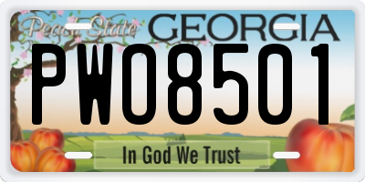 GA license plate PWO8501