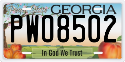 GA license plate PWO8502