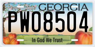 GA license plate PWO8504