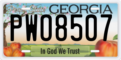 GA license plate PWO8507