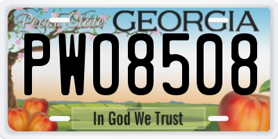 GA license plate PWO8508