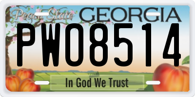 GA license plate PWO8514