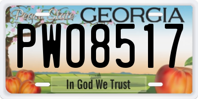 GA license plate PWO8517