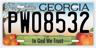 GA license plate PWO8532