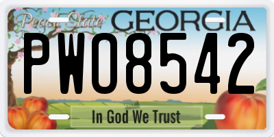 GA license plate PWO8542