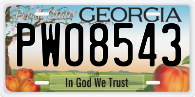 GA license plate PWO8543