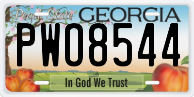GA license plate PWO8544
