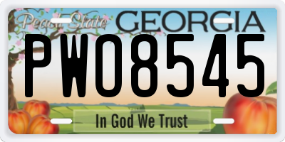 GA license plate PWO8545