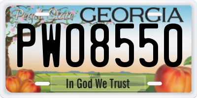 GA license plate PWO8550