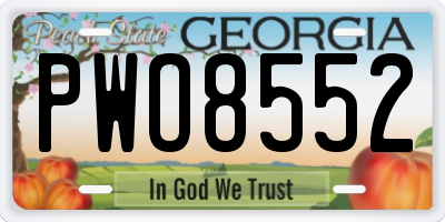 GA license plate PWO8552