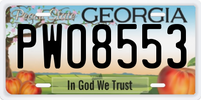 GA license plate PWO8553