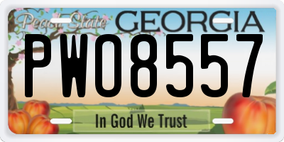 GA license plate PWO8557