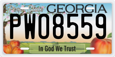 GA license plate PWO8559